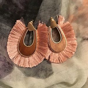 Dark Pink Tassel Oval Dangling earrings